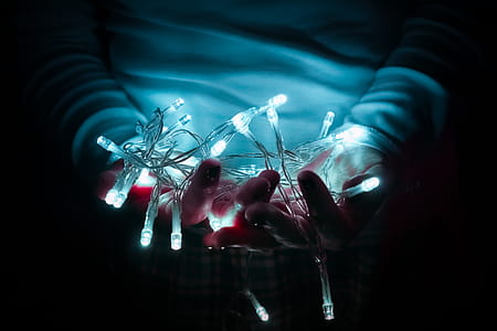 Person Holding White String Lights thumbnail