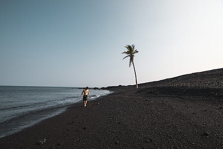 person walking on coastline during daytime thumbnail