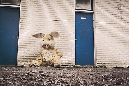 grey and brown rabbit costume leaning on concrete wall while lying on concrete pavement during daytime thumbnail