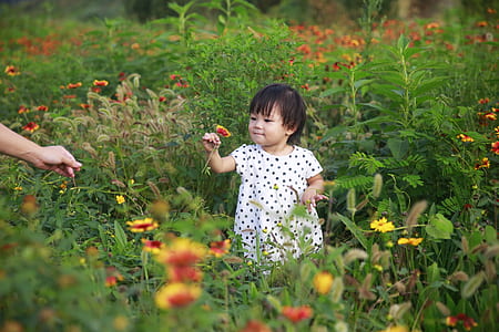 girl holding blanket flower while standing thumbnail