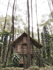 brown wooden tree house during daytime thumbnail