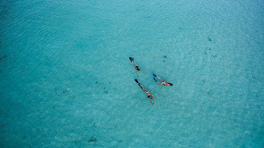 three women snorkeling at beach thumbnail