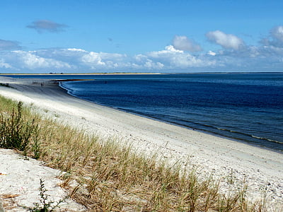 brown grass near shore during daytime thumbnail