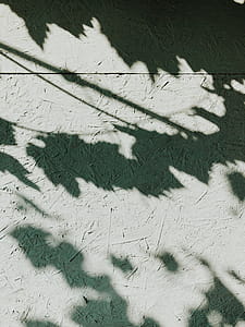 Photo of Shadows on Wall thumbnail