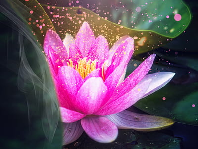 pink flowers thumbnail