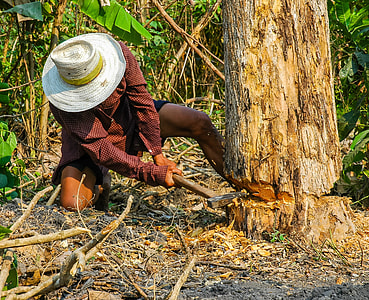 man cutting tree trunk thumbnail