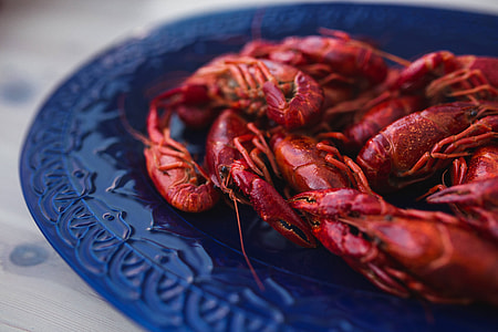 Crayfish on a blue plate thumbnail