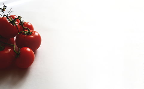 red tomatoes thumbnail