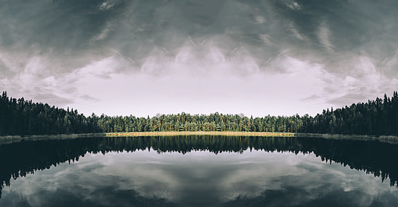 green forest on body of waters during daytime thumbnail