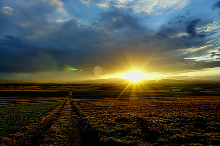 green grass field thumbnail