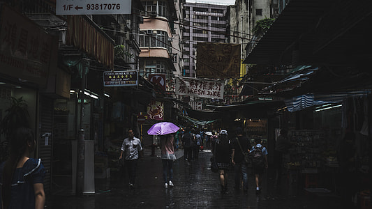 woman standing in between of high-rise buildings while holding purple umbrella thumbnail