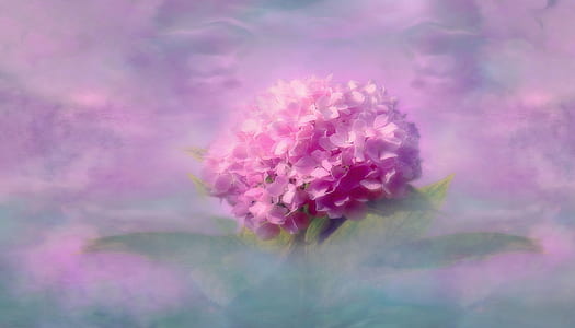 pink cluster flowers thumbnail