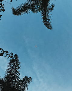 low angle photography of airplane thumbnail