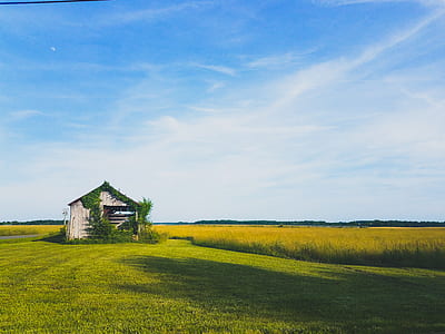 brown wooden barn house near grass field at daytime thumbnail