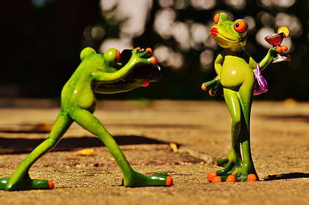 two poison dart frog taking a photo on ground thumbnail
