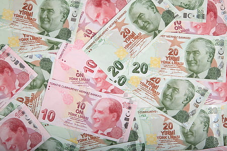 assorted banknotes thumbnail