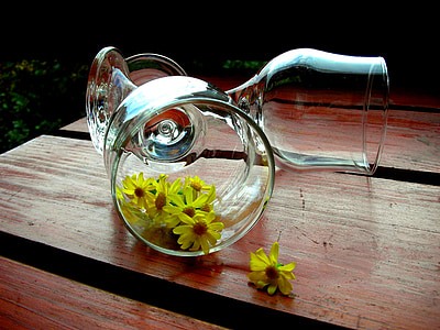 yellow flower in wine glass thumbnail