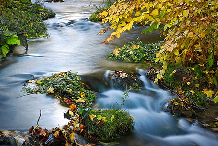 timelapse photograph of river between trees thumbnail