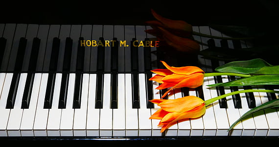 two orange tulip flowers on white electronic keyboard thumbnail