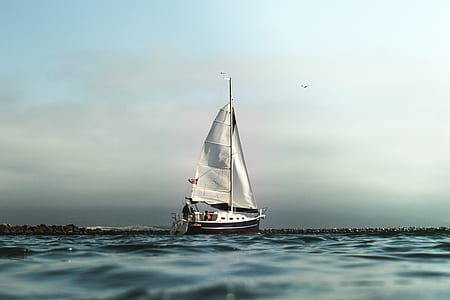 black and white sailboat on calm body of water under humid weather thumbnail