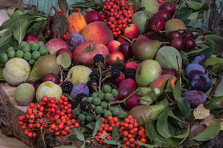 fruit lot thumbnail