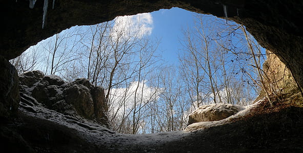 empty cave beside trees thumbnail