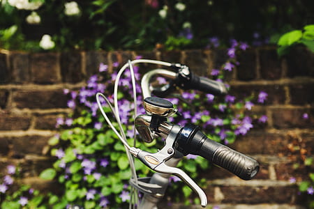 selective focus photo of grey and black bicycle thumbnail