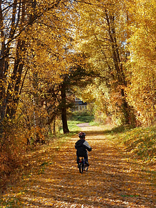 child riding bicycle on road between brown leaf tree during daytime thumbnail
