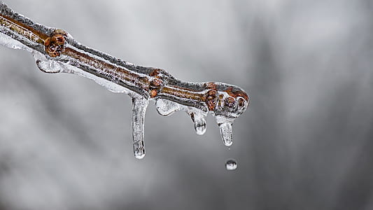 ice, winter, cold, frozen, nature, cool thumbnail