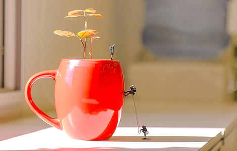 three men climbing red ceramic mug with seedling on countertop thumbnail