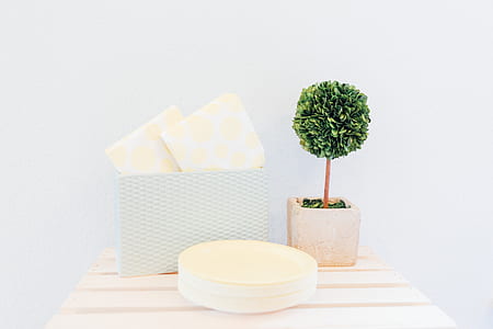 green potted plant on white table thumbnail