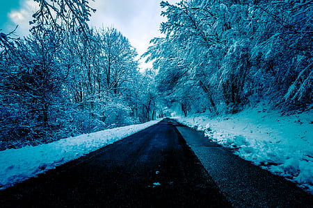Black Concrete Road Surrounded by Trees With Snow thumbnail