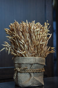 bucket of wheat grass thumbnail