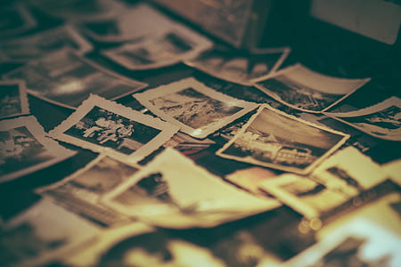 Collection of Gray Scale Photos thumbnail