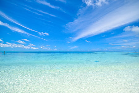 sea, nature, sky, beach thumbnail