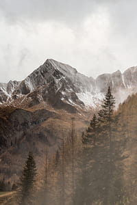 rock mountain near forest during daytime thumbnail