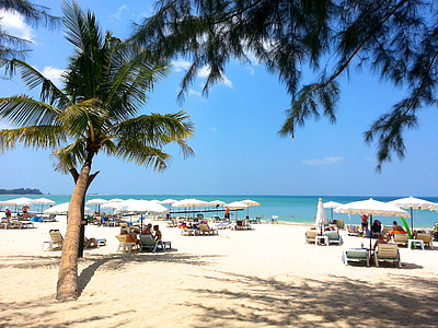 group of people sitting on chairs on beach thumbnail