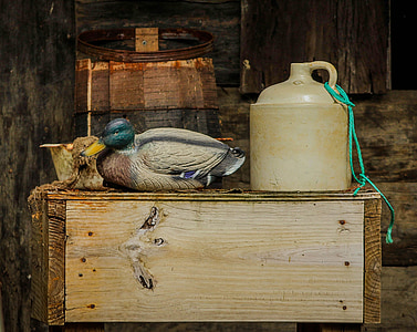 duck on top of brown wooden box beside bottle thumbnail