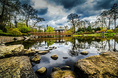 nature, lake, park, pond thumbnail