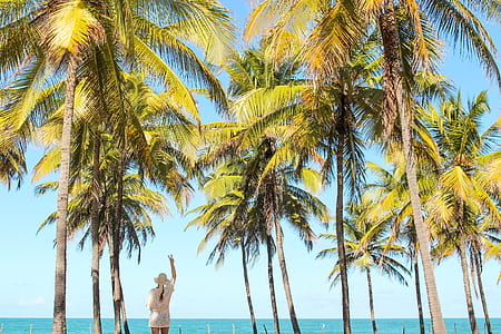 woman in white top and sun hat under coconut palm trees thumbnail