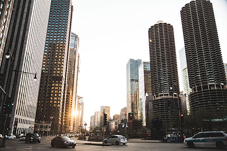 different cars on road near high-rise buildings thumbnail