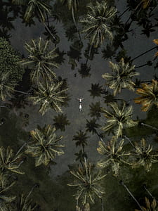 aerial photography of person floating on body of water thumbnail