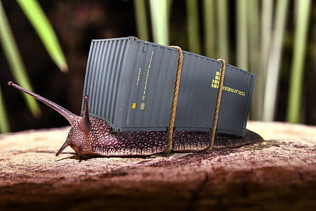 tilt shift photo of brown snail carrying grey container van thumbnail