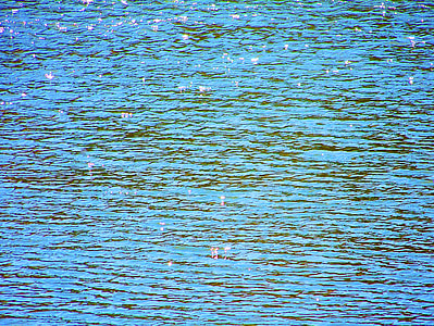 flowers on body of water thumbnail