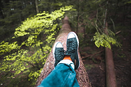 Relaxing In Nature Photo thumbnail