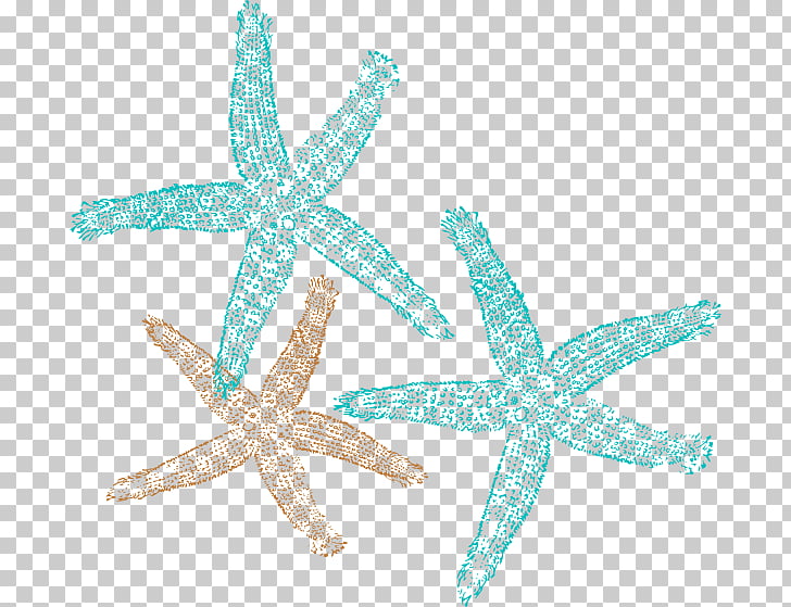 34 starfish cliparts free png cliparts for free download uihere