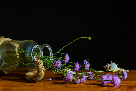 purple flower lot thumbnail
