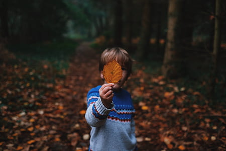 boy holding a brown dried leaf thumbnail