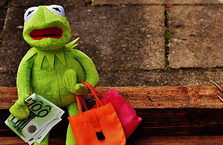 Hermit the Frog plush toy holding banknote thumbnail