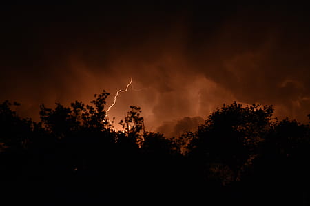 photo of trees with lightning thumbnail